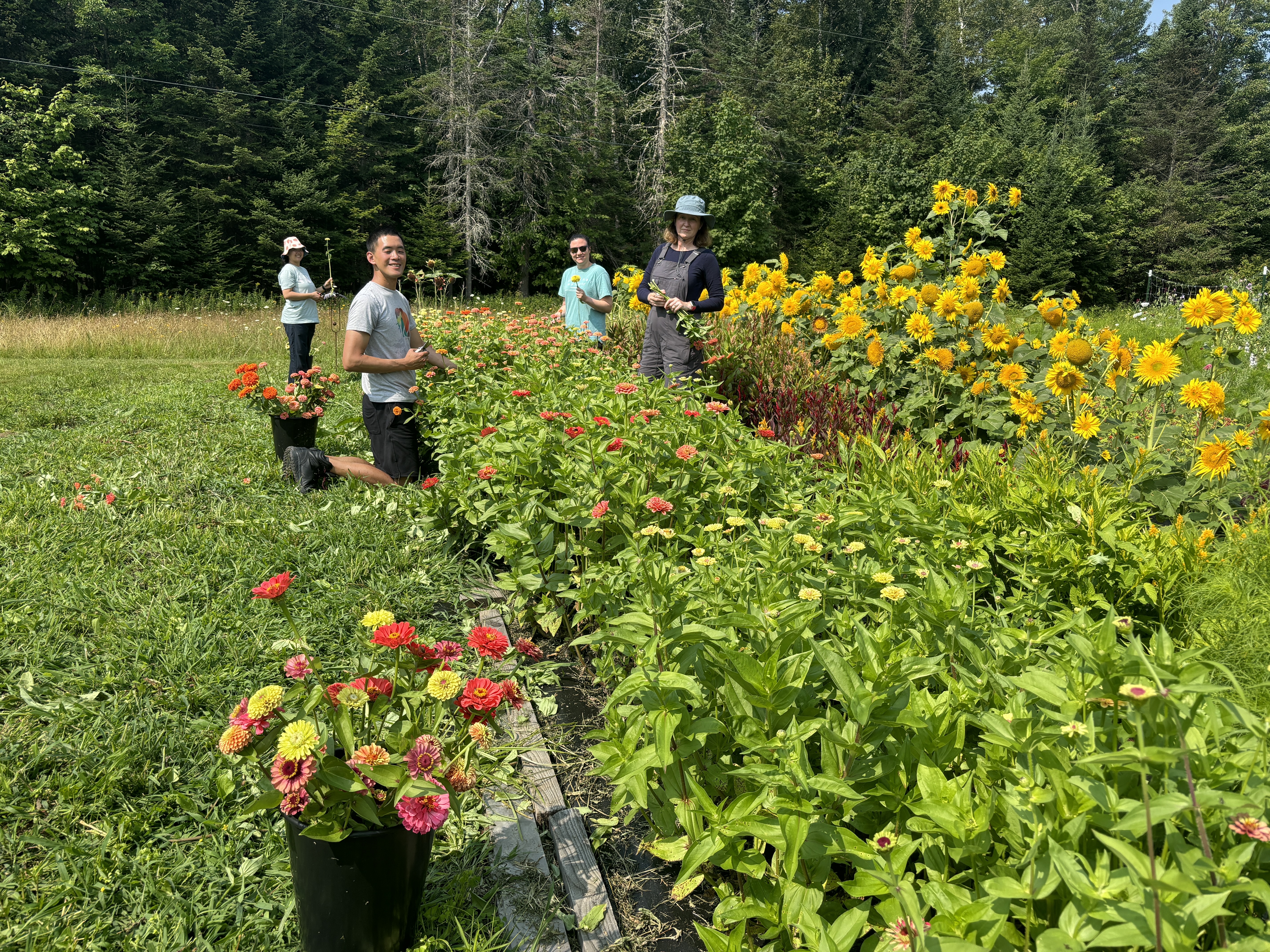 Farm Image 1